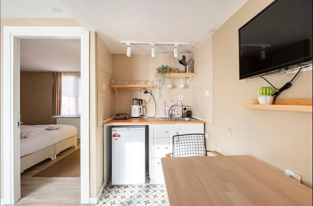 Evin Apartment 이스탄불